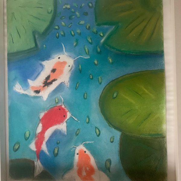 carpes koi