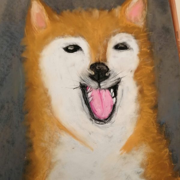 pastel sec d'un chien
