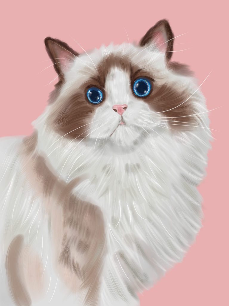 chat