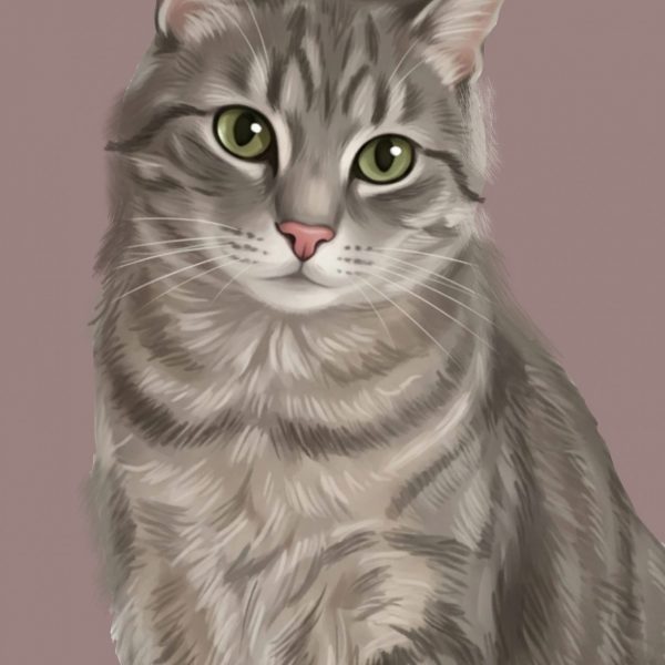 chat