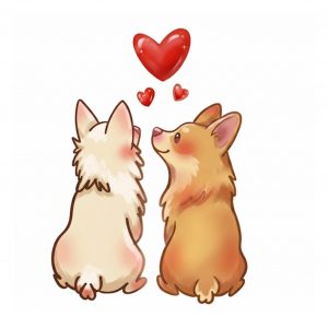 corgies love